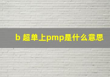 b 超单上pmp是什么意思